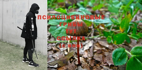 хмурый Абдулино